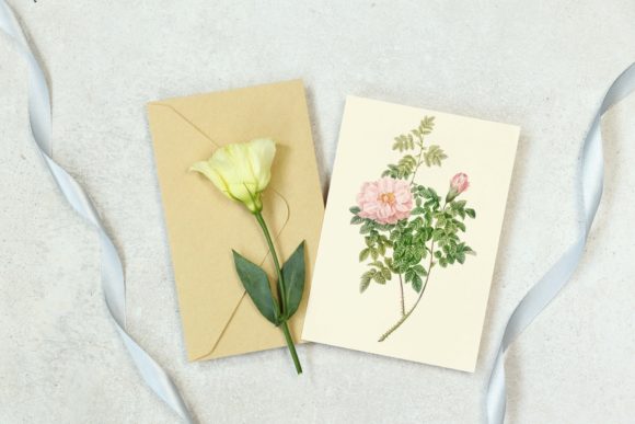 Elegant Pink Rose: Wedding Illustration for Creative Projects