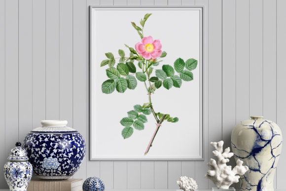Timeless Elegance: The Vintage Rose Graphic for Wedding Design